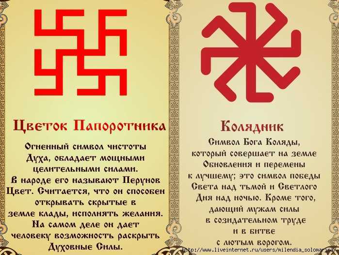Тату со смыслом для мужчин - фото с расшифровкой: на руке, на ноге, шее, предплечье, спине, маленькие, надписи, на какой части тела набить, идеи и эскизы    :: клео.ру