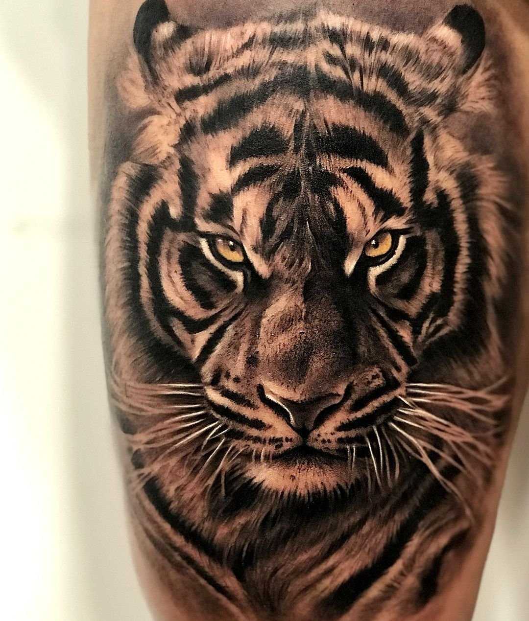 🐯тату тигр🐯 значение для мужчин и девушек | на груди, оскал, с открытой пастью
