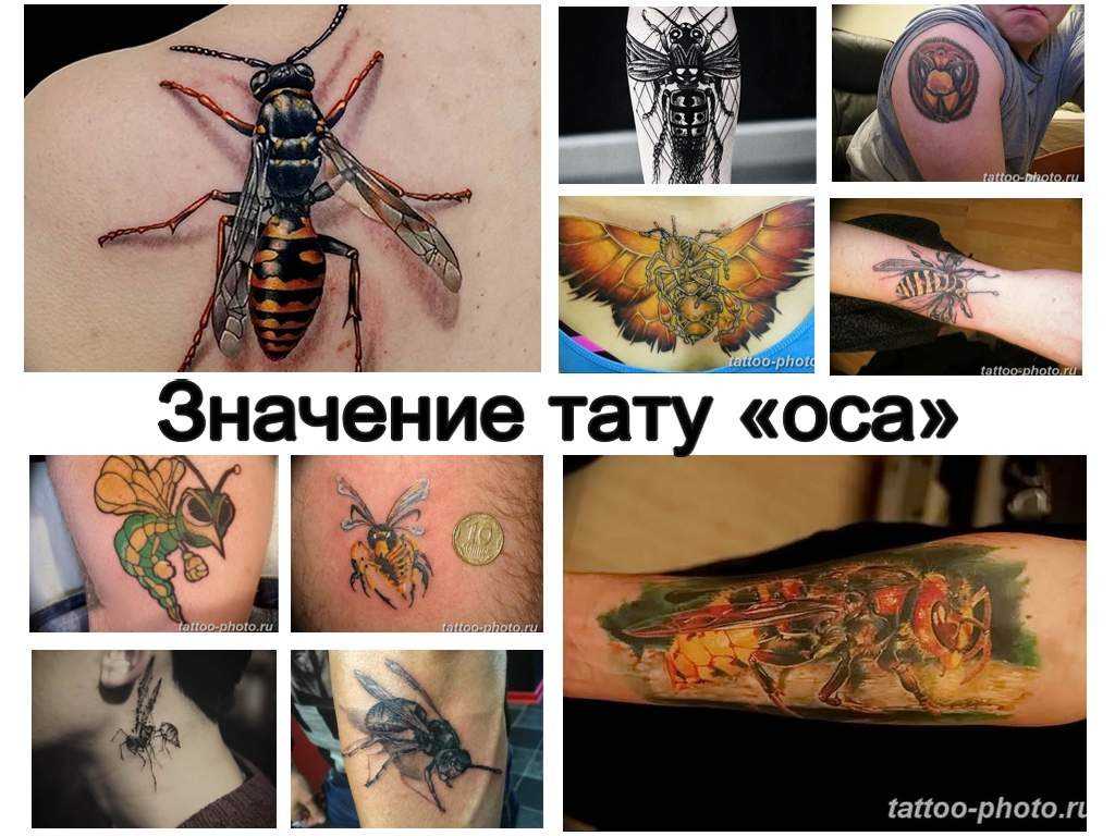 Татуировка оса: значение, эскизы для девушек, лучшие фото