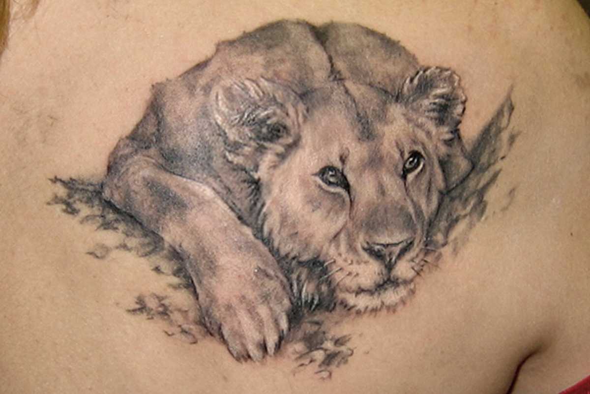 Тату лев - значение, идеи и фото татуировки со львом | tattoo-ideas.ru