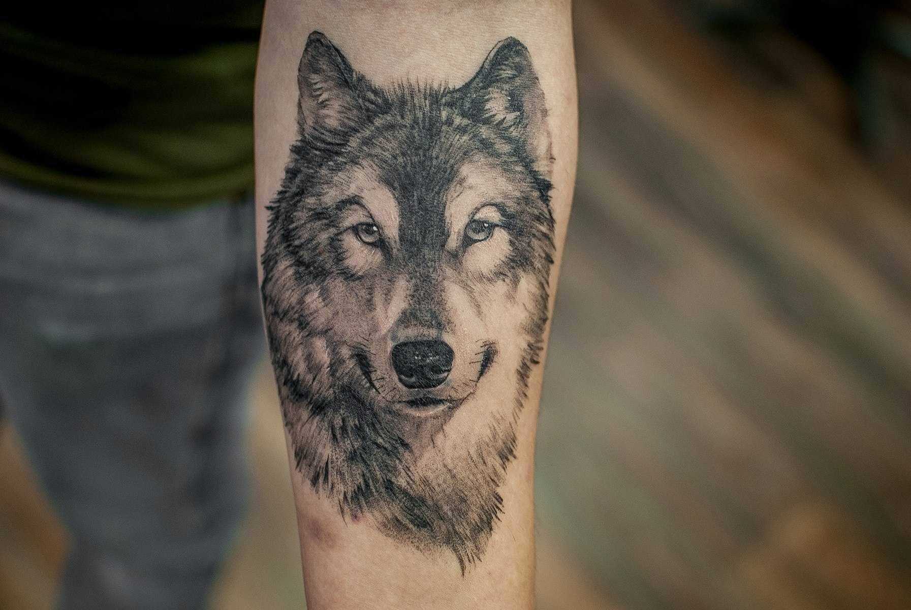 Тату волк - значение и эскизы татуировки с волком | tattoo-ideas.ru