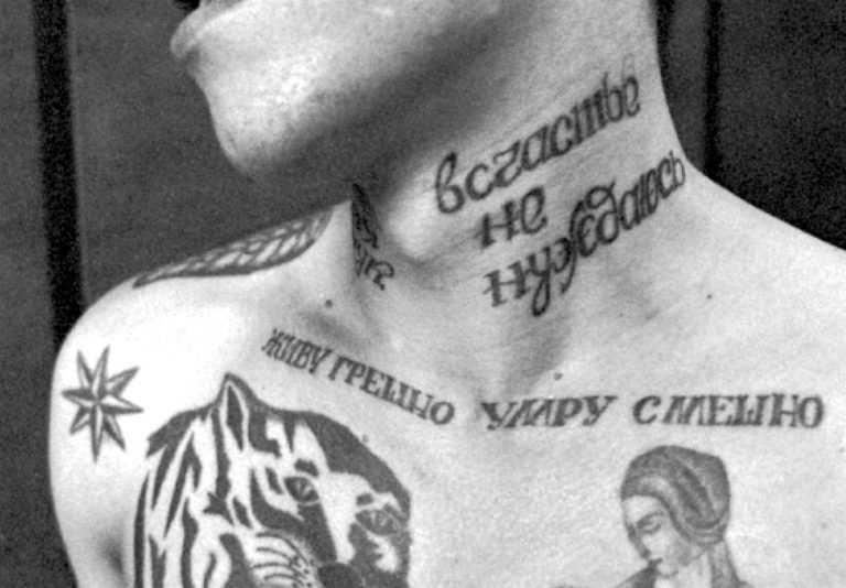 Вселенная чужих и хищников