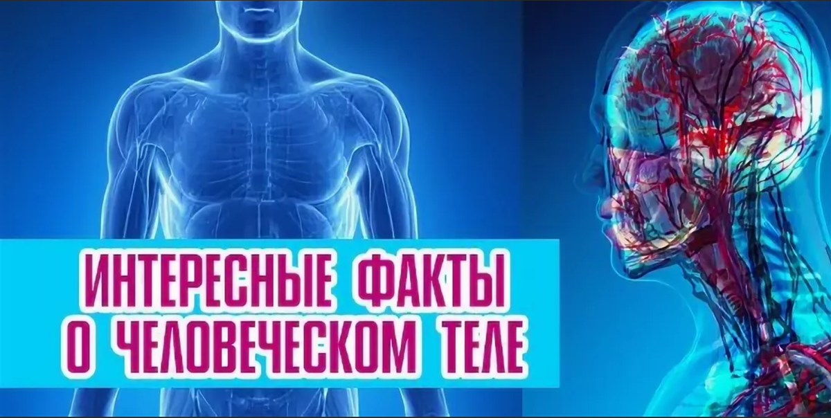 Интересные факты о здоровье. 98 самых интересных фактов о человеческом теле.