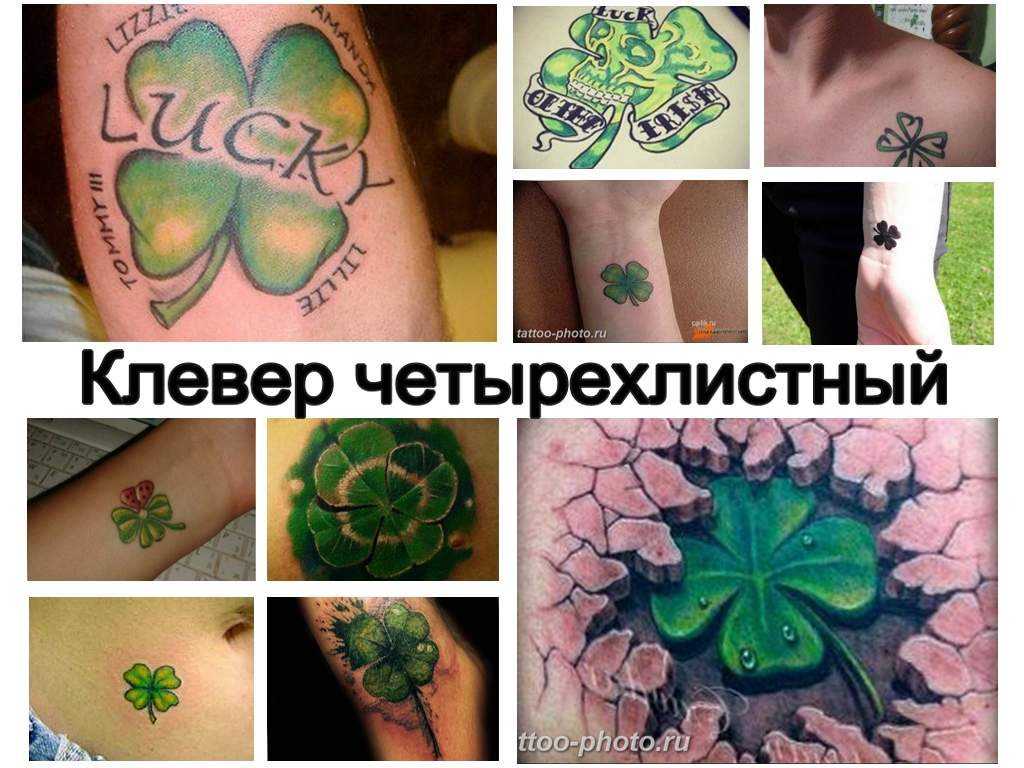 Тату клевер: 100 фото красивых эскизов для девушек и мужчин, значение