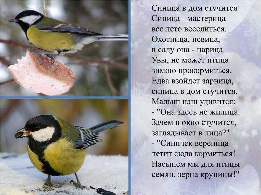Маленькие тату со смыслом, их значение для девушек и парней