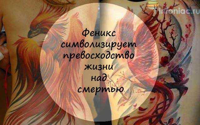 Ирэдзуми | значение японских тату | карп, кинтаро, дракон, пион и др.