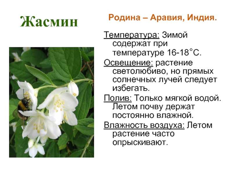 Как замаскировать татуировку с помощью косметики