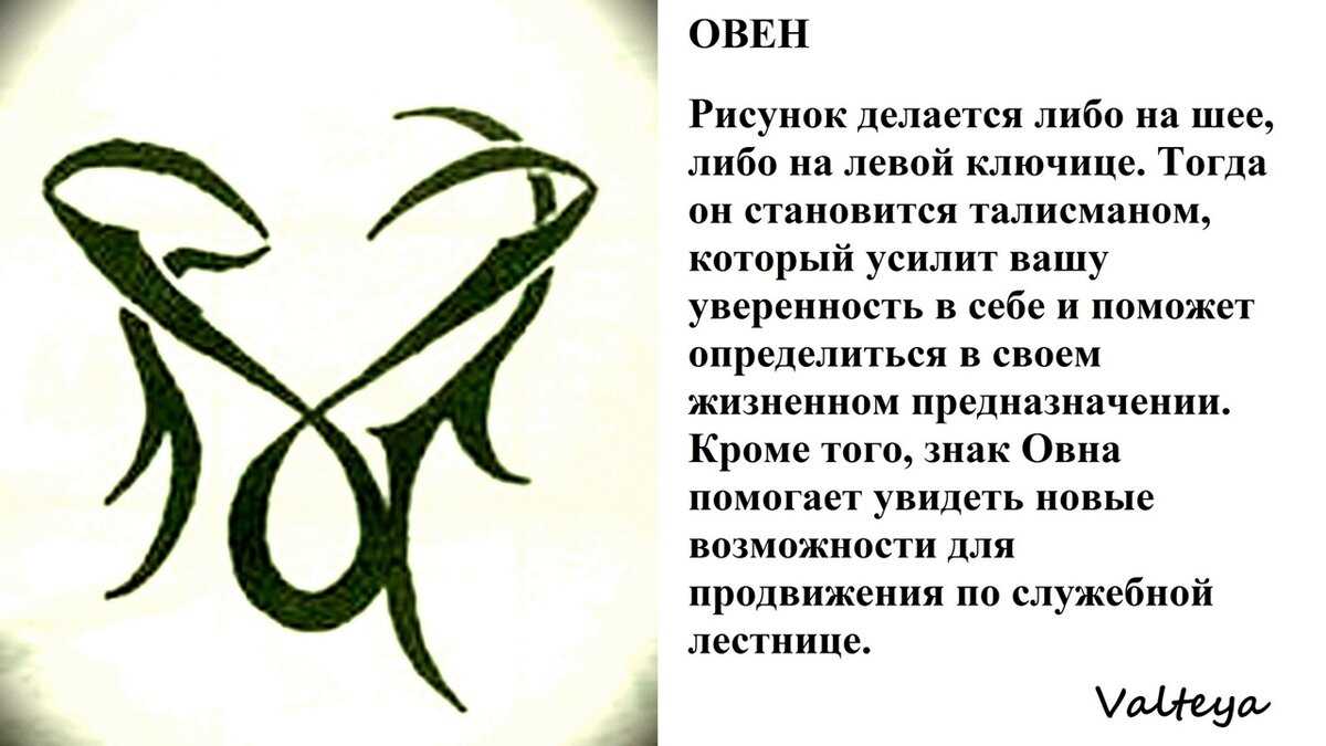Тату телец