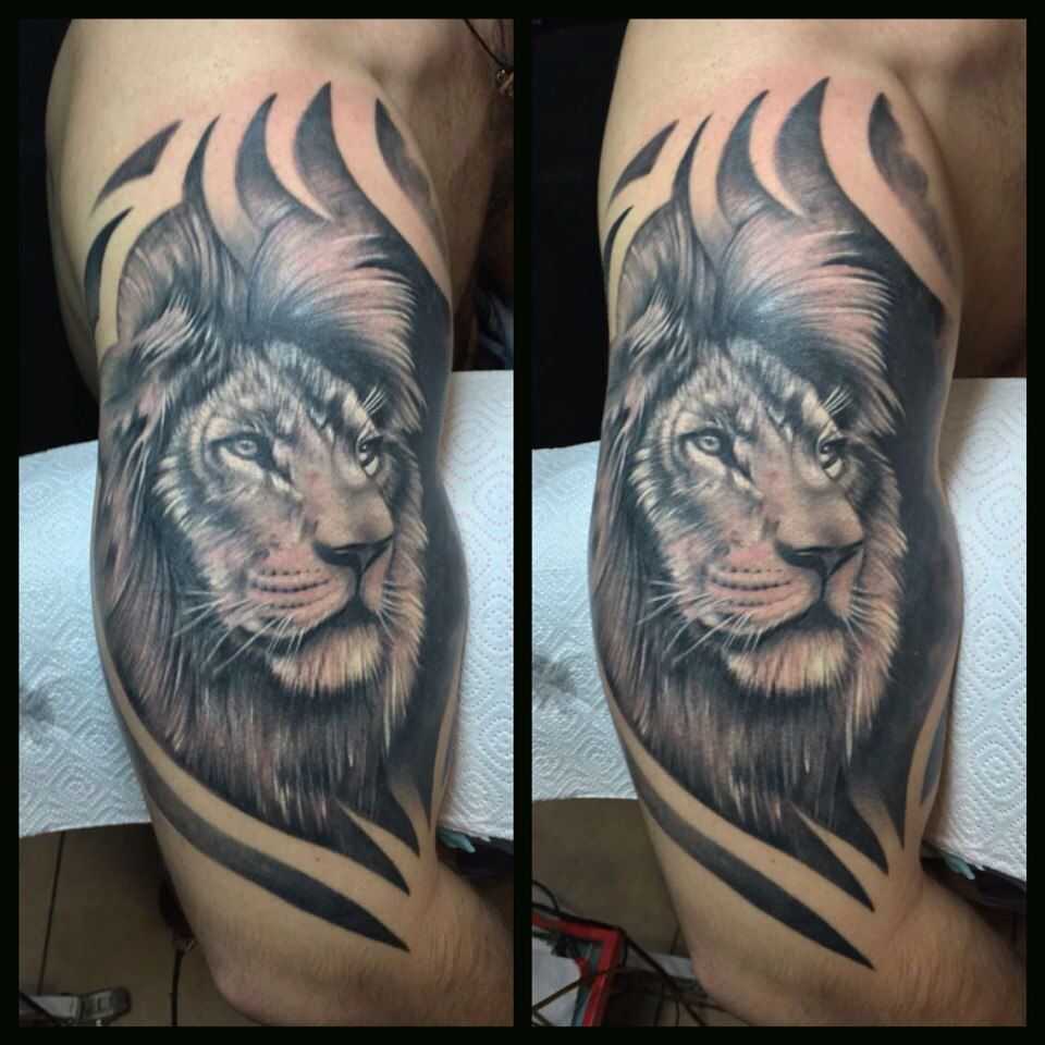Tattoo • подборка эскизов для тату: лев (83 фото)