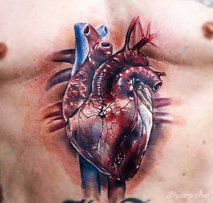 Тату сердце