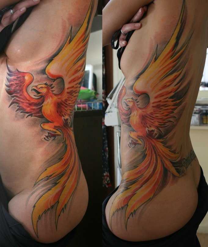 The Erotic Review Phoenix