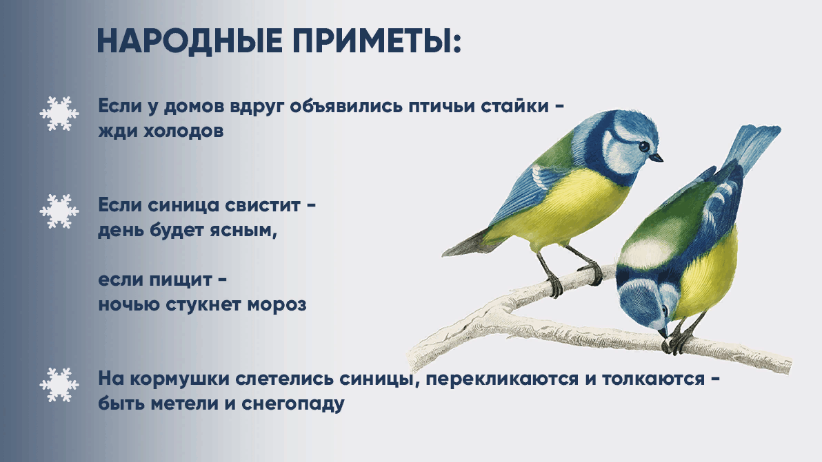 Тату с птицами и их значения: феникс, жар-птица, для девушек, мужчин, на руке, запястье, с пером. эскизы + 150 фото.