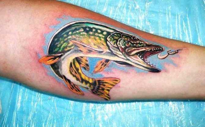 Тату сова - значение и эскизы татуировки с совой | tattoo-ideas.ru