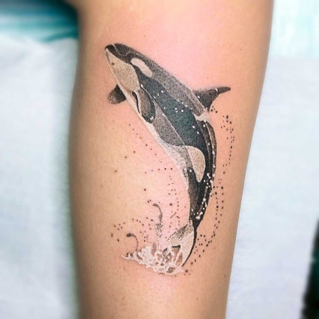 Тату касатка ❤️ значение, фото, эскизы и примеры
тату касатка ❤️ значение, фото, эскизы и примеры