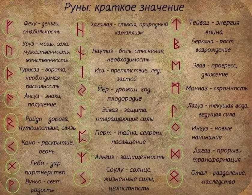 Тату чайка