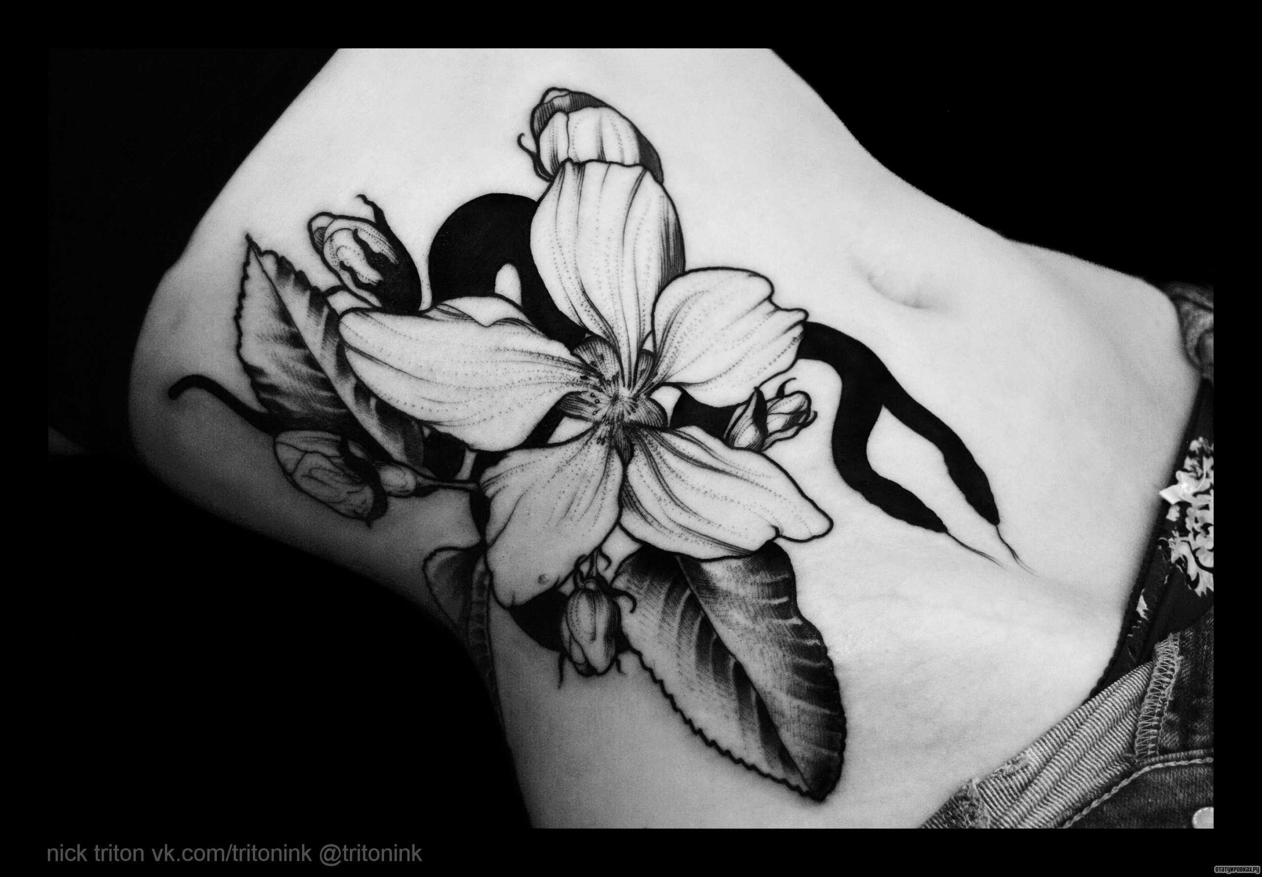 Tattoo • значение тату: лилия, как цветок и геральдика