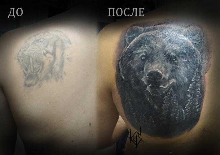 Bear tattoos: meanings, tattoo designs & ideas