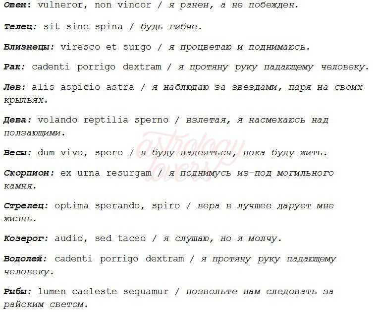 Женские тату на руке 2022: топ-100 красивых фото