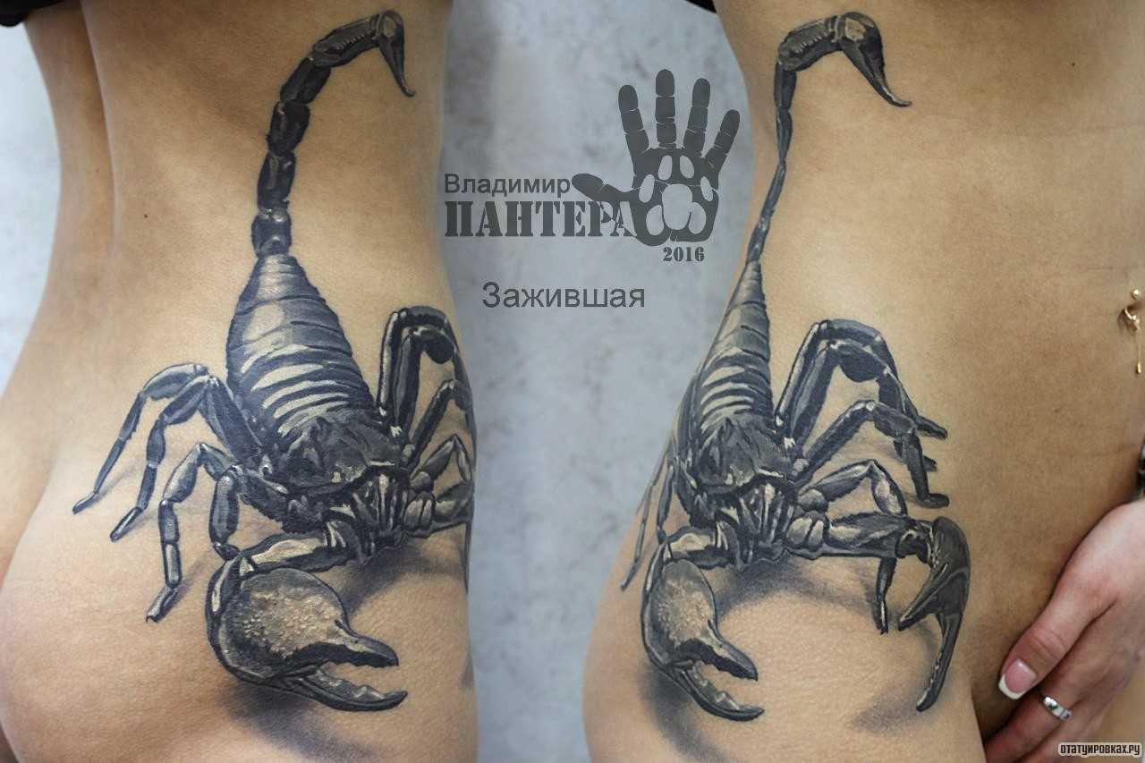 Tattoo • значение тату: скорпион