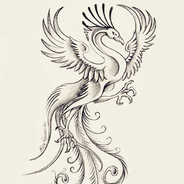 Тату феникс - идеи и значение тату феникс с фото | tattoo-ideas.ru