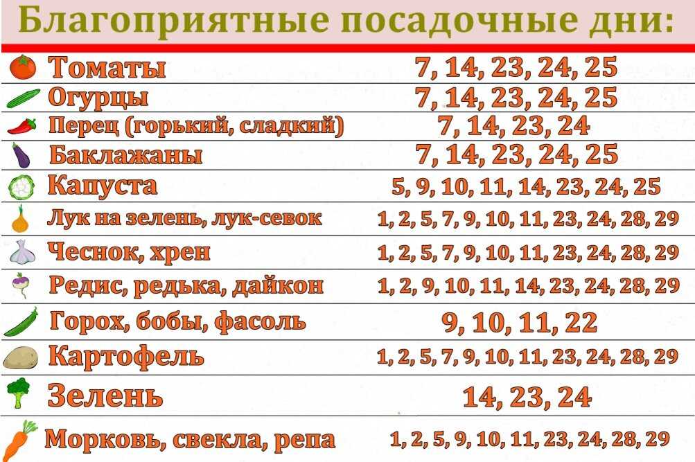 Лунный календарь на декабрь 2023 года огородника