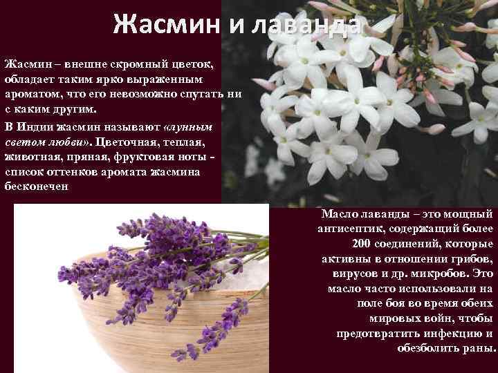 Как правильно выбрать место для татуировки - tattooo.ru