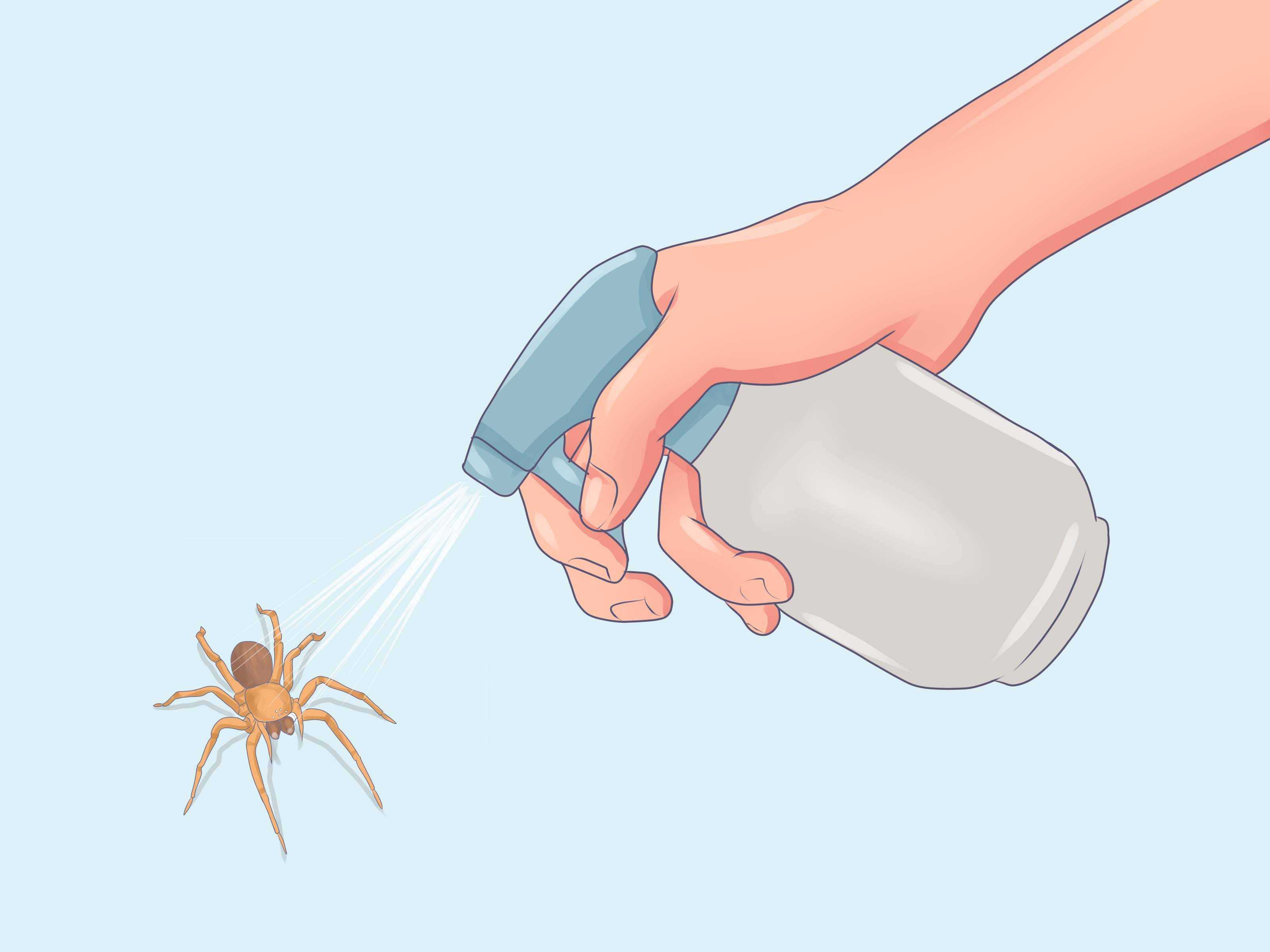 Как избавиться в доме от пауков доступными средствами?