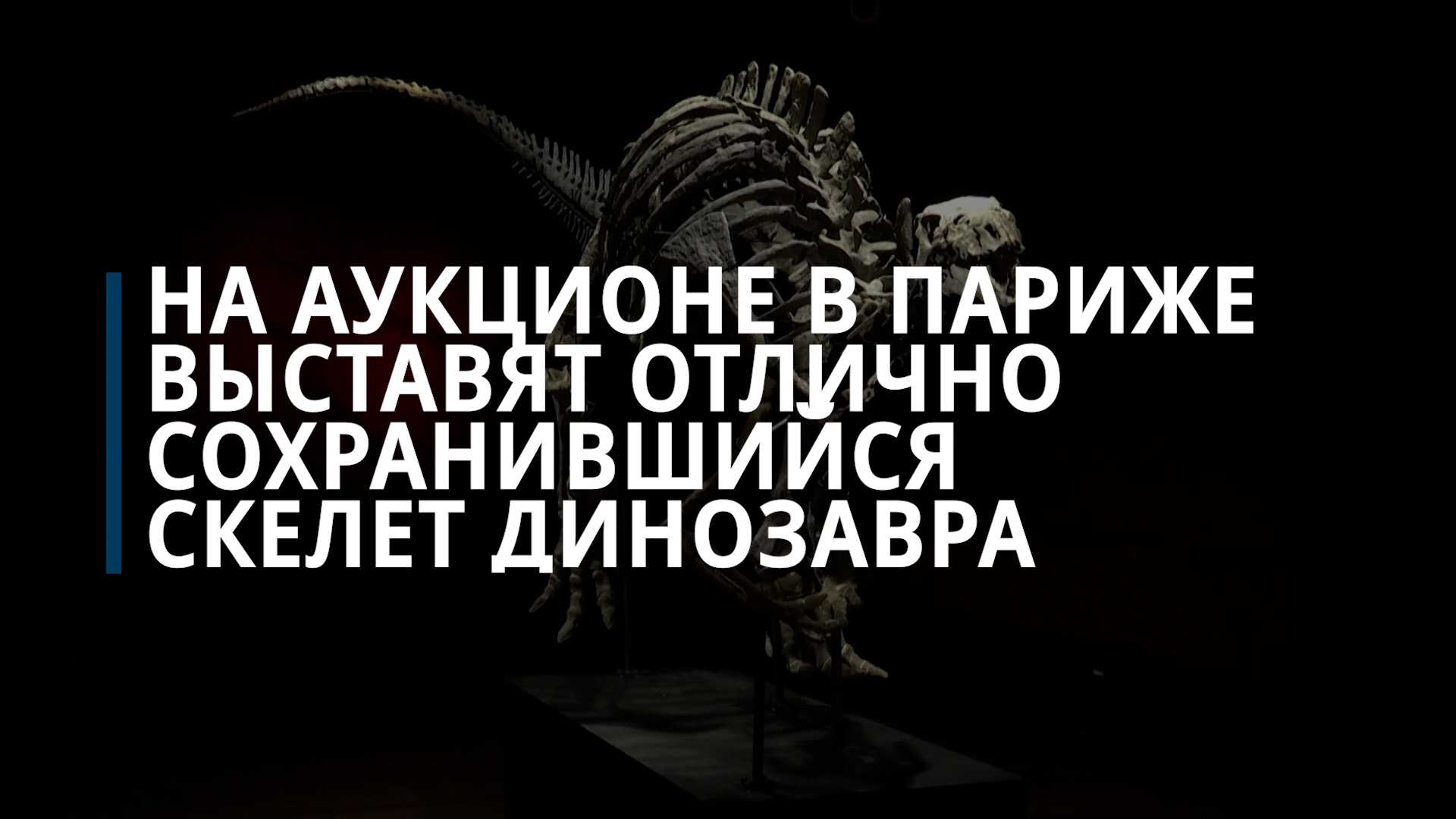 36 тату медведь: значение зверя для мужчин и женщин
