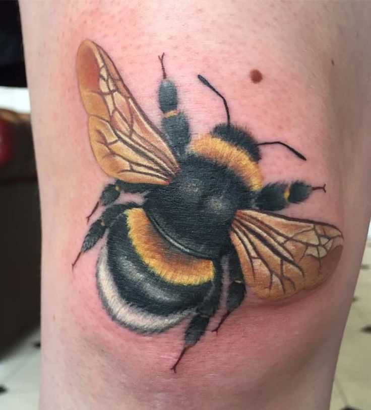 Tattoo • значение тату: шмель