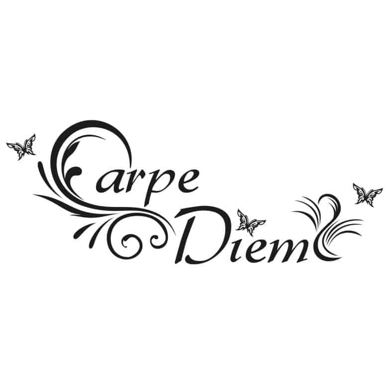 Что значит carpe diem на сленге? как понять carpe diem? перевод и смысл... – terka.ru