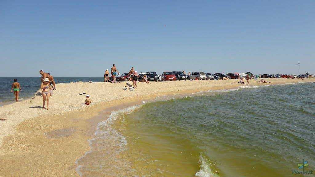 Отдых на Азовском море 2017: Ейск, Станица Должанская, Приморско-Ахтарск, Станица Голубицкая, Кучугуры отзывы курортов на Азовском море 2017 с отзывами