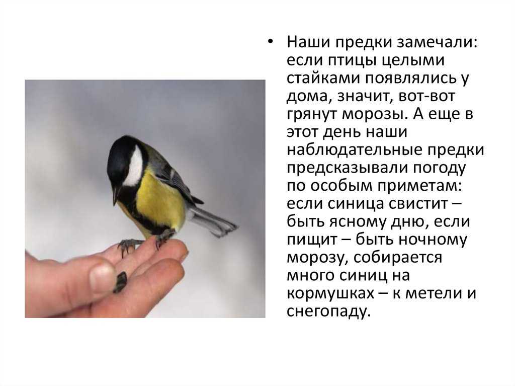 Тату обереги для девушек и мужчин: значение и фото. как выбрать татуировку с умом? - мой тор