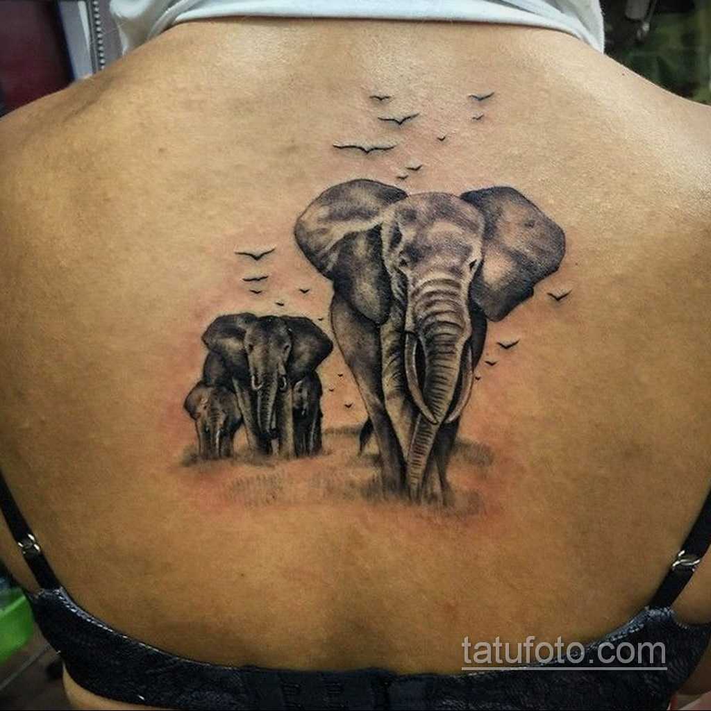 Tattoo • значение тату: слон