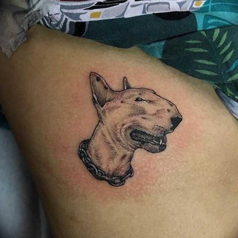 Tattoo • значение тату: бультерьер