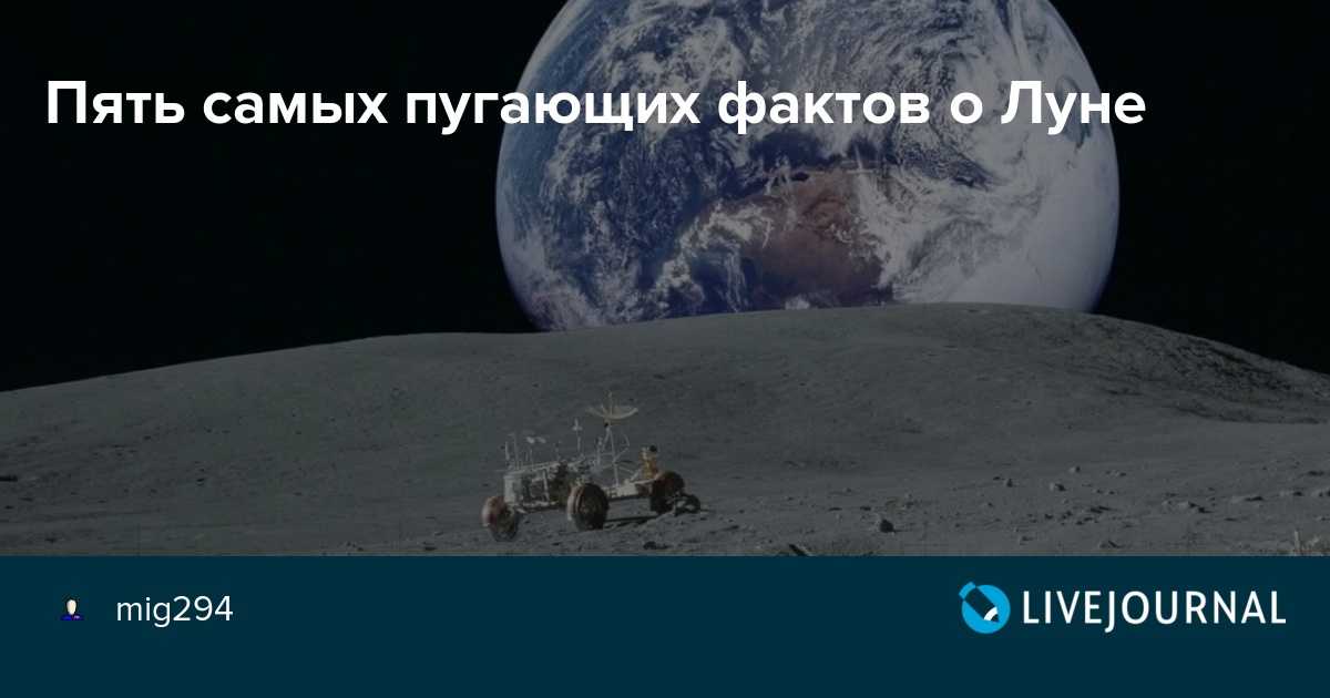 Тату на руке для девушек — фото эскизов со смыслом и надписей с переводом